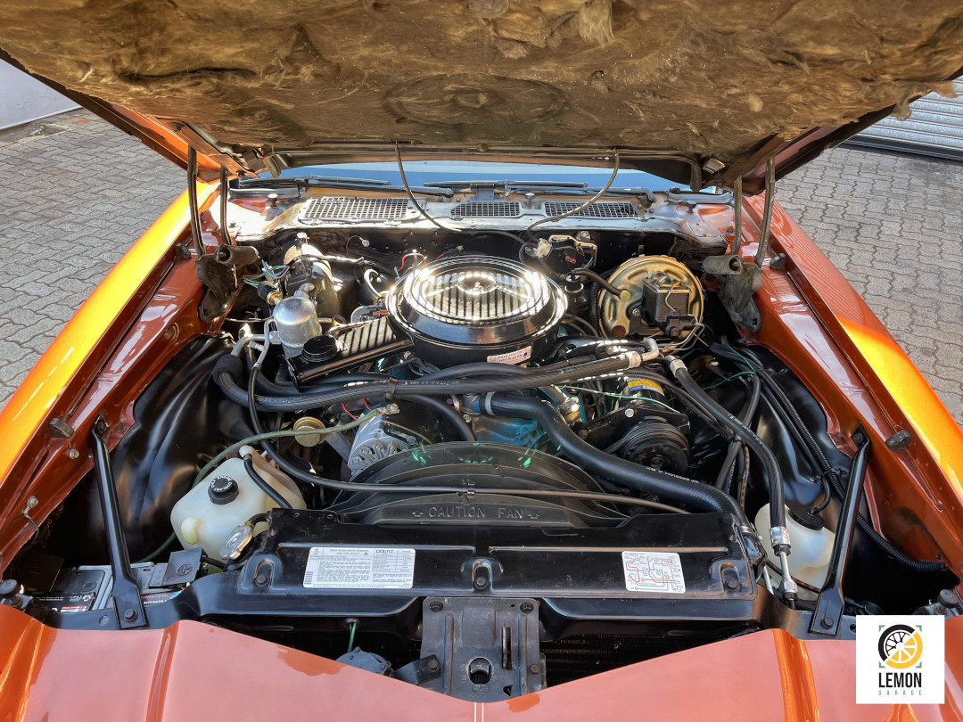 1981 Chevrolet Camaro Berlinetta